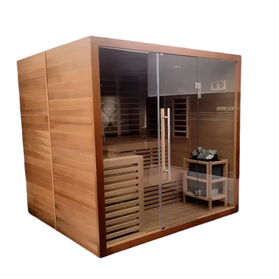 Artize Bio - Premium Hybrid dual heat source - Traditional Stove and Infrared Indoor sauna